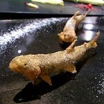 レストラン バカール - 立ってる、稚鮎のフリット