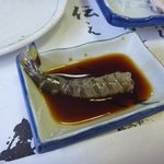 ししくい - 車海老の踊り