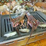 ししくい - 伊勢海老を焼く