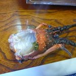 ししくい - 伊勢海老頭（味噌が）