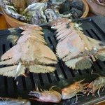 ししくい - 焼き団扇海老