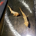 レストラン バカール - 稚鮎のフリット