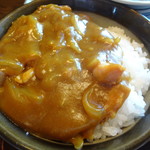 Teuchisobajinsaku - カレー丼
