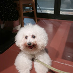 AU GAMIN DE TOKIO table - アンジェリーナと共に〜♬