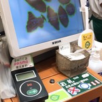 ピーターパンジュニア - 