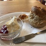 カフェ ウォルナット - 