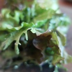 緑山　松田家 - 