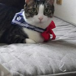 パン工房 ブランジェリーケン - 可愛いでしょ♪