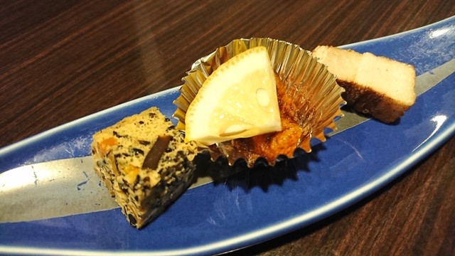 Shuko Kibayashi photo 5