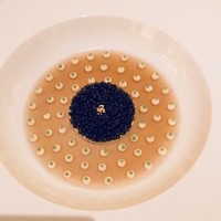 ガストロノミー ジョエル・ロブション - 