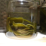 東京肉しゃぶ家 - 