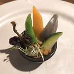 リストランテ コエン - ぶどう畑 アップ