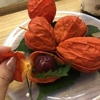 赤坂 菊乃井 - 