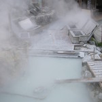 大涌谷観光センター 黒玉子茶屋 - 2008年５月