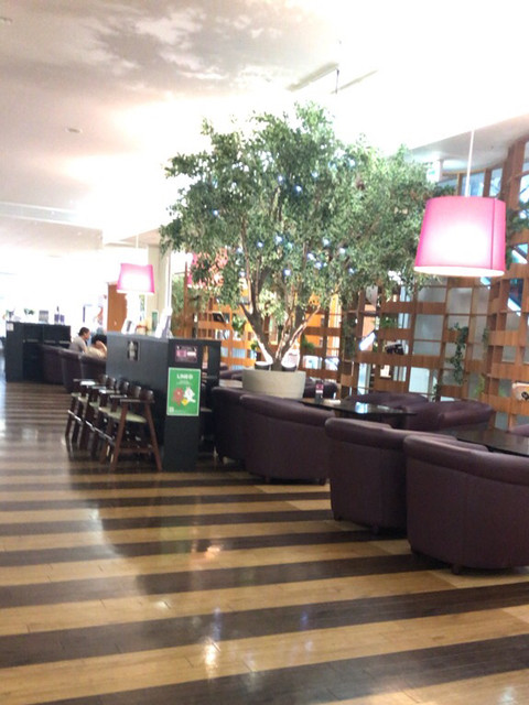 Moa Cafe モアカフェ 新習志野 カフェ 食べログ