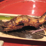 草喰 なかひがし - 8月美山の鮎塩焼き