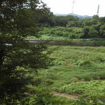 清晨庵  - 美術館のテラスから都幾川を眺める