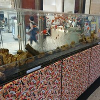 代官山ASO チェレステ 日本橋店 - 