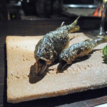 たでの葉 - 熊本川辺川産の天然鮎の炭火焼