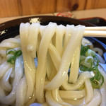 手打十段 うどんバカ一代 - もちろん、キリリと〆った麺の食感も好き♡