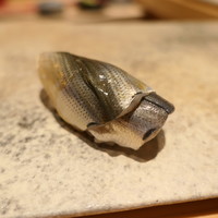 鮨 つぼみ - しんこ