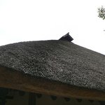 茅乃舎 - 母屋の茅葺屋根＠2011/8