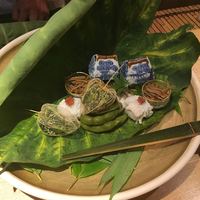 弧玖 - 