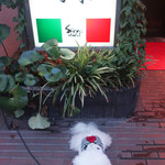 旬采 - お玄関前（１）