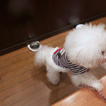 旬采 - カウンター楽しいわネッ！