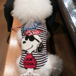 旬采 - ジョー・クール