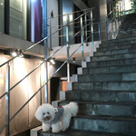 旬采 - 階段〜大好き！！