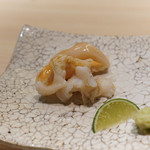 鮨 なんば - 蝦夷石蔭貝