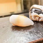 鮨 なんば - 白烏賊（イカの子供）　36℃/19℃