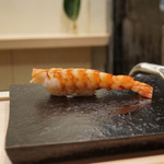 鮨 なんば - 車えび　　　38℃/35℃