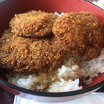 オタイコヒルズ - 