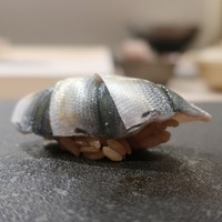 はっこく - 新子