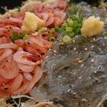 とびっちょ 本店 - 生しらすと桜エビ丼