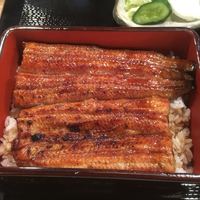 うなぎ 目白ぞろ芽 - 