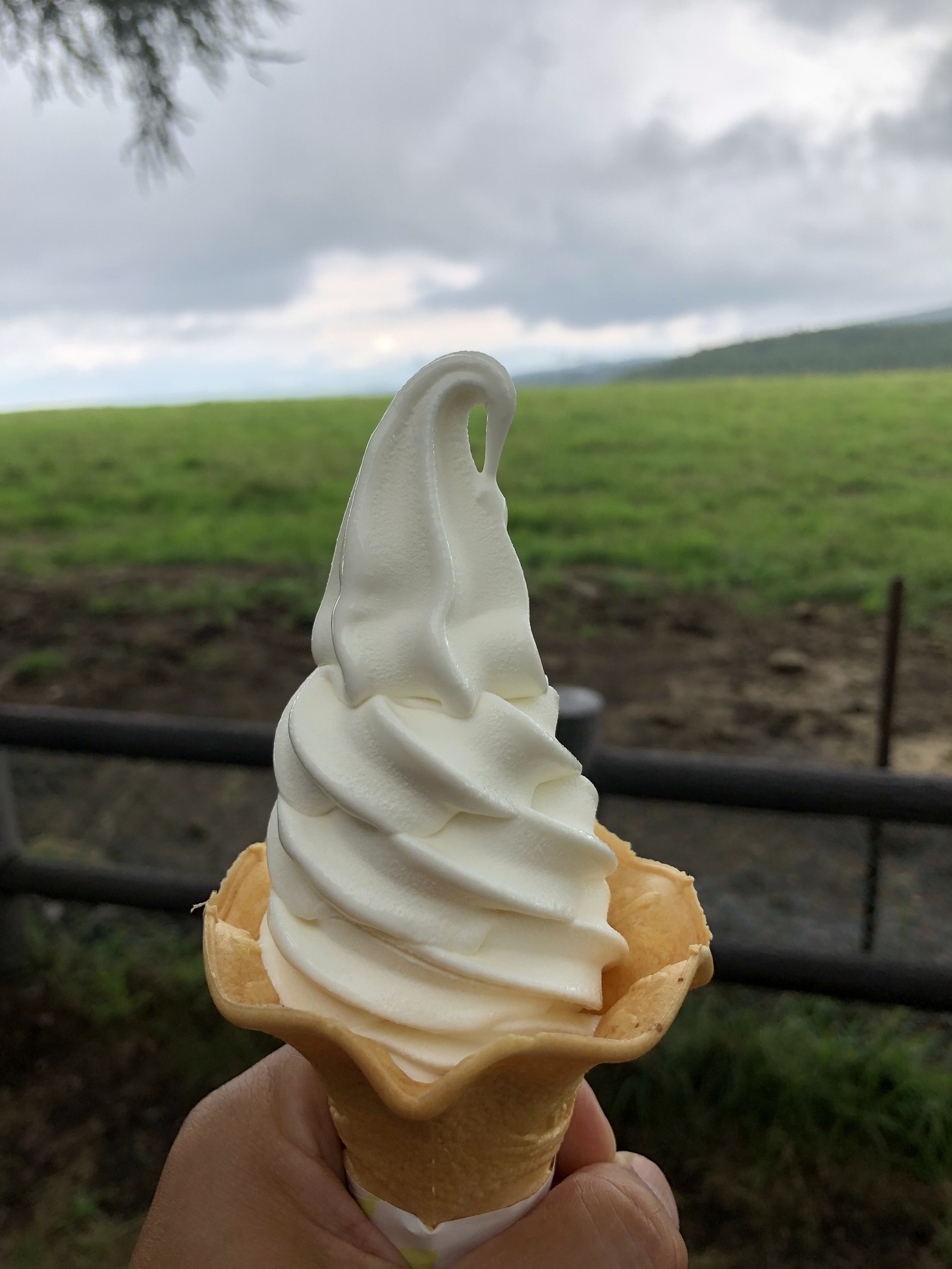 牛乳専科もうもう name=