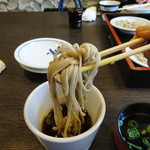 Izushi Sara Soba Gen - 僕は蕎麦には玉子も、山芋も加えずに食べる。それが本流です。