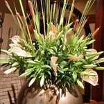 横浜うかい亭 - 玄関の花。