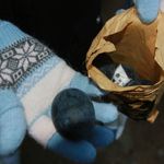 大涌谷観光センター 黒玉子茶屋 - 2009年11月