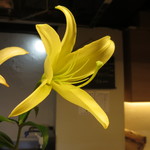 天ぷら やす田 - 