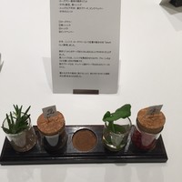 Takumi - 
