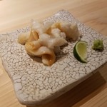 鮨 なんば - 石垣貝