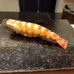 鮨 なんば - 車海老