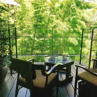 THE KAWABUN NAGOYA - 竹が美しい