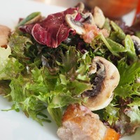 Benoit Alain Ducasse - 