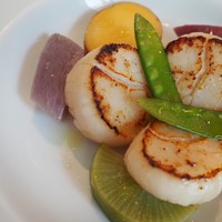 Benoit Alain Ducasse - 
