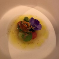 RiVi - 